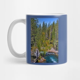 Canada. Canadian Rockies. Jasper National Park. Maligne Canyon. Mug